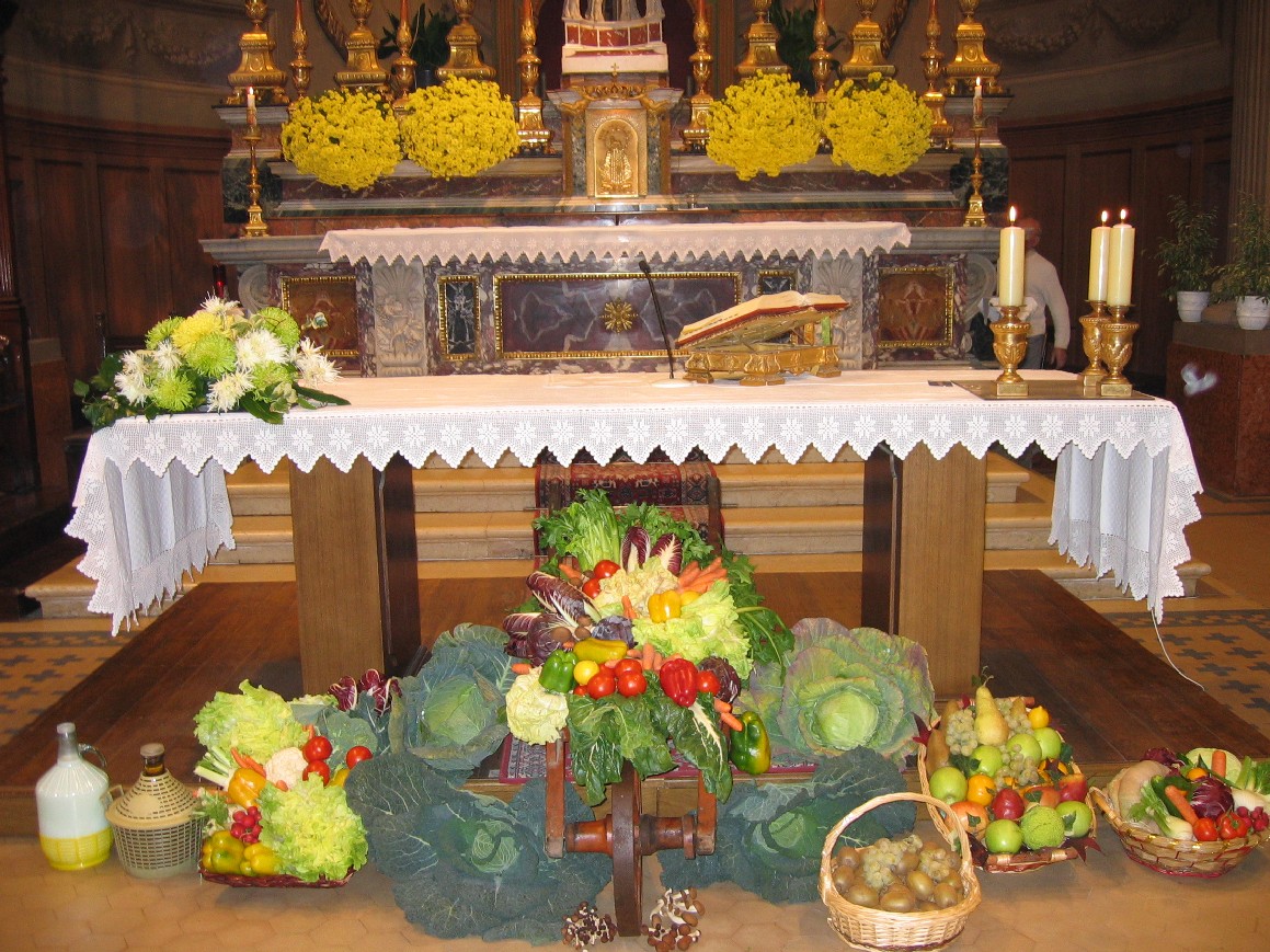 13 Novembre 2011 - Giornata del Ringraziamento